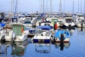 Many anchored yachts,Sozopol port